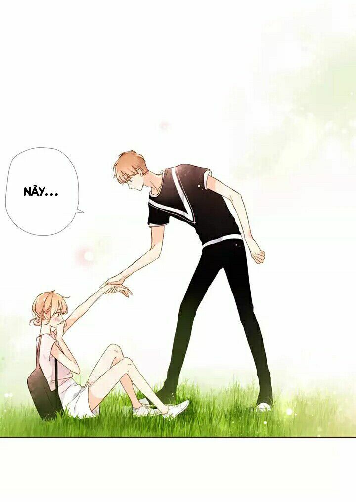 Tình yêu là màu hoa anh thảo chapter 28.2 20