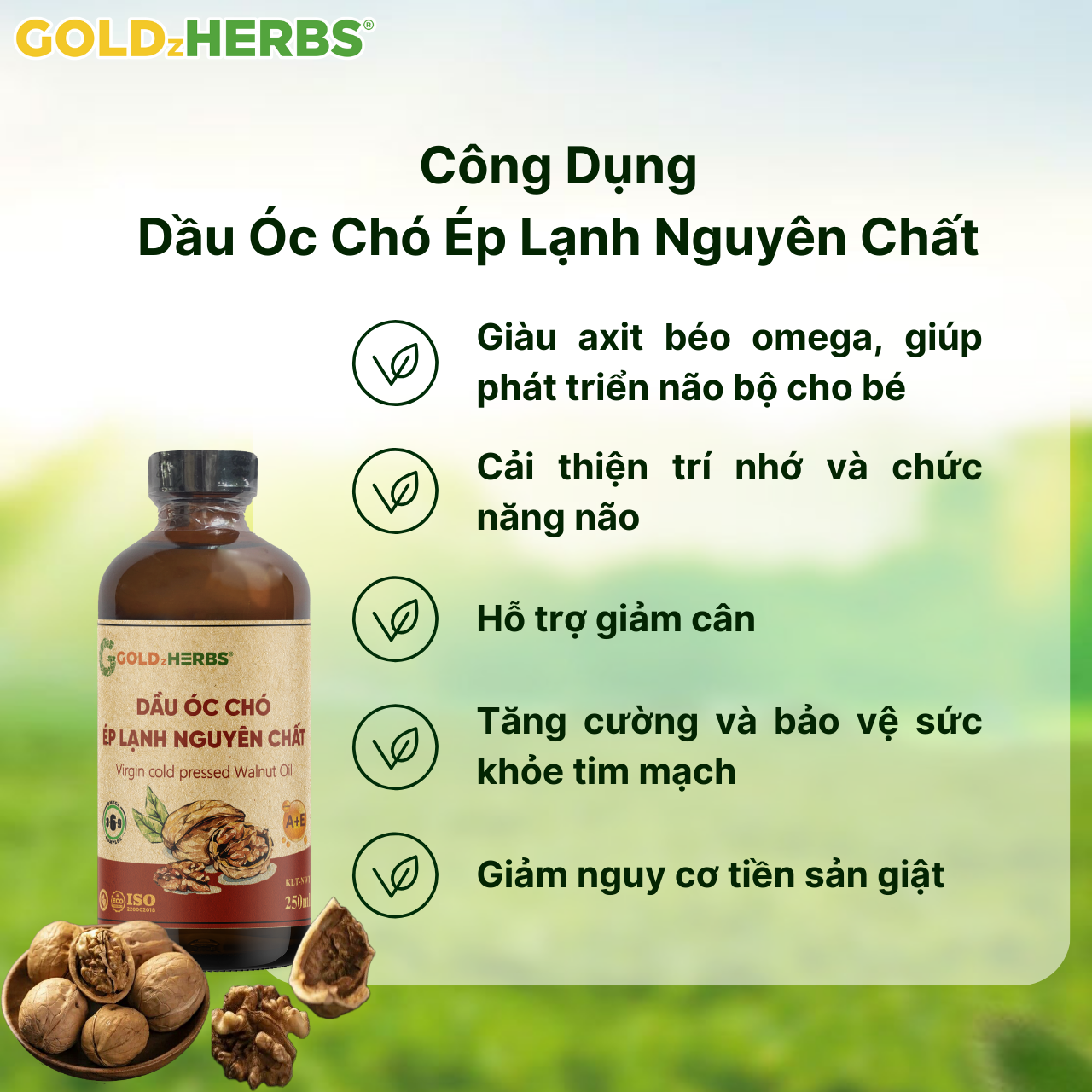 Dầu óc chó ép lạnh nguyên chất GoldzHerbs - Chai 120ml/ 250ml