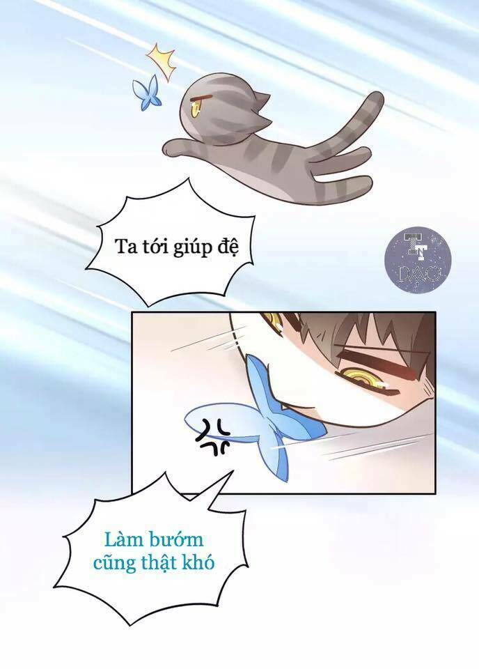 dưới móng vuốt mèo chapter 19 2