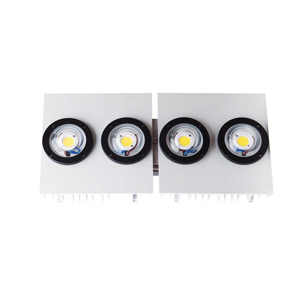 Đèn LED Đánh cá Rạng Đông công suất 500W model DC05 500W (SPD lens 90 độ) sản phẩm được ngư dân Indonesia, Philippines tin dùng, nhiều màu sắc ánh sáng cho các ngư trường khác nhau