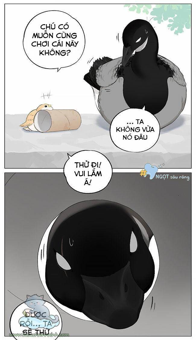 chim sẻ gọi ngỗng trời chapter 3 3