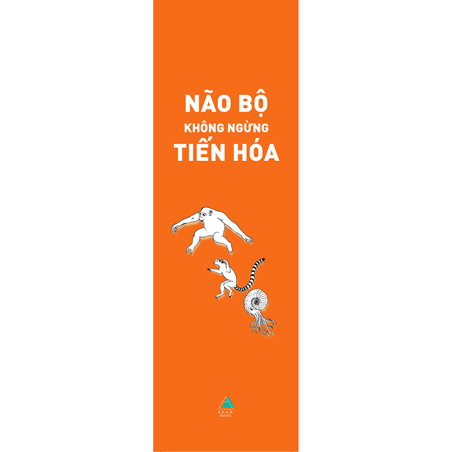 Não Bộ Không Ngừng Tiến Hóa: Trí Thông Minh Của Bạn Đến Từ Đâu? - Tặng Kèm Bookmark