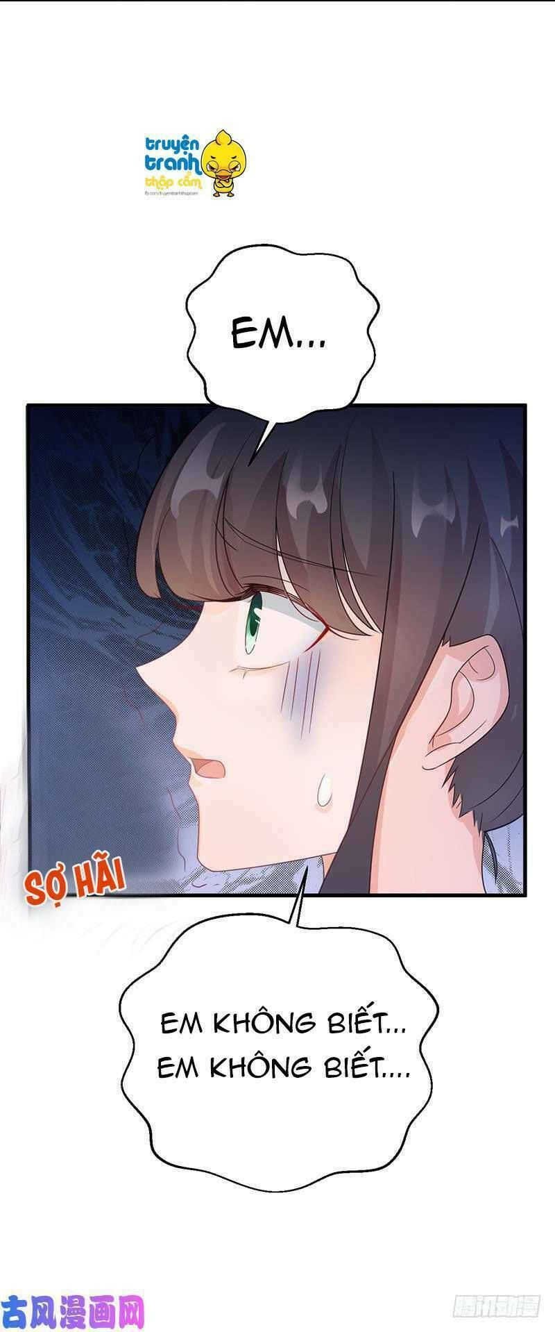 chọc tới chủ tịch tổng tài 2 chapter 64 14