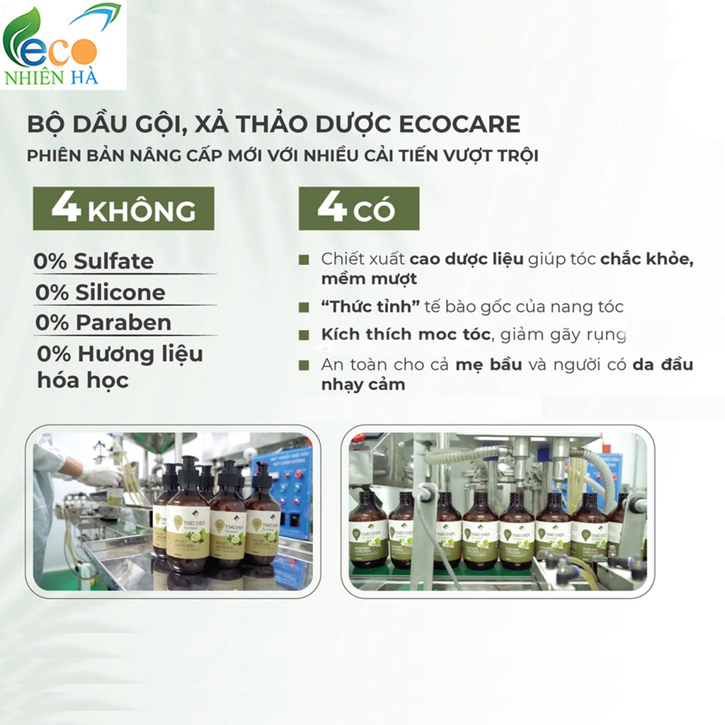 Combo dầu gội thảo dược dầu xả tóc ECOCARE 300ml, sạch gàu, suôn mượt, giảm gãy rụng