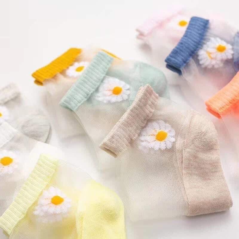 TẤT LƯỚI NỮ HOA CÚC DỄ THƯƠNG GIAO MÀU NGẪU NHIÊN- 1 đôi - TN02