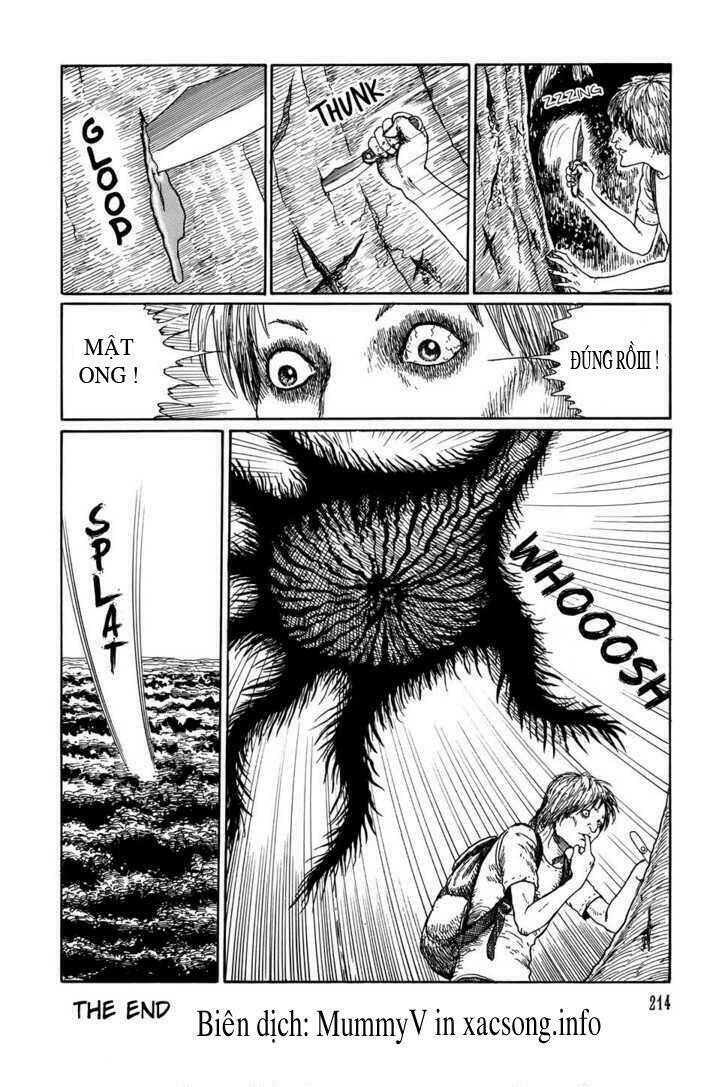 new voices in the dark chapter 7 32