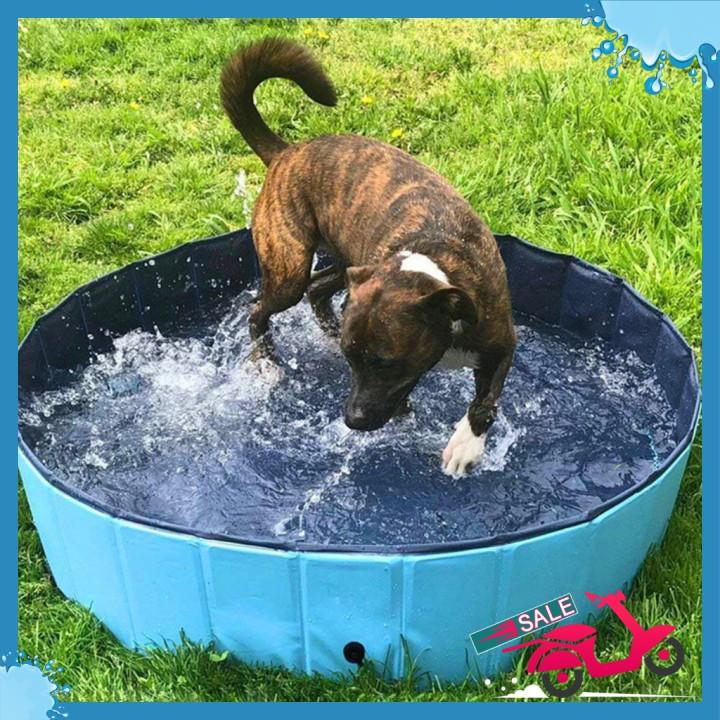 Hồ tắm Thú Cưng PORTABLE PAW POOL 80x20cm