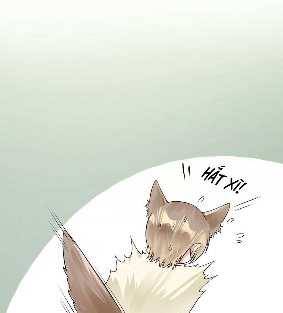 tức thời phạm quy [ tức thì vi quy ] chapter 23 36