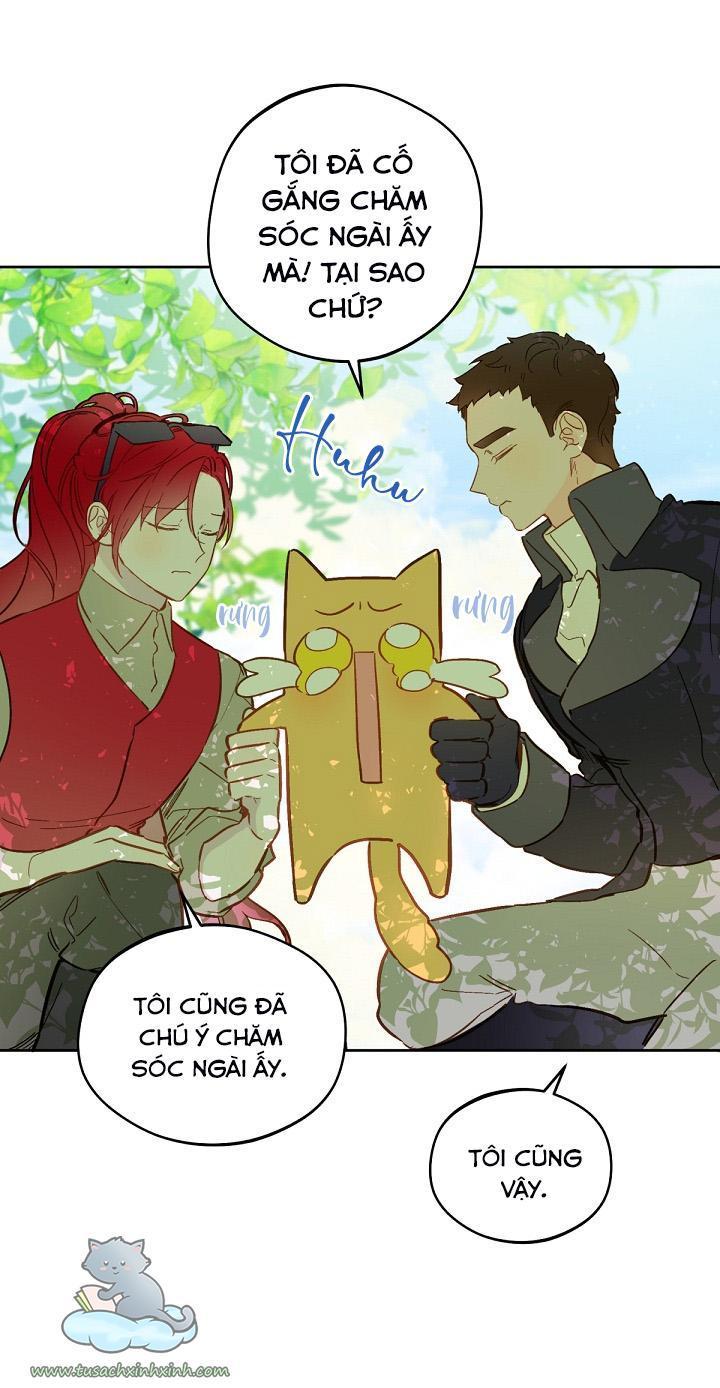 trang trại hạt dẻ cạnh hoàng cung chapter 15 53