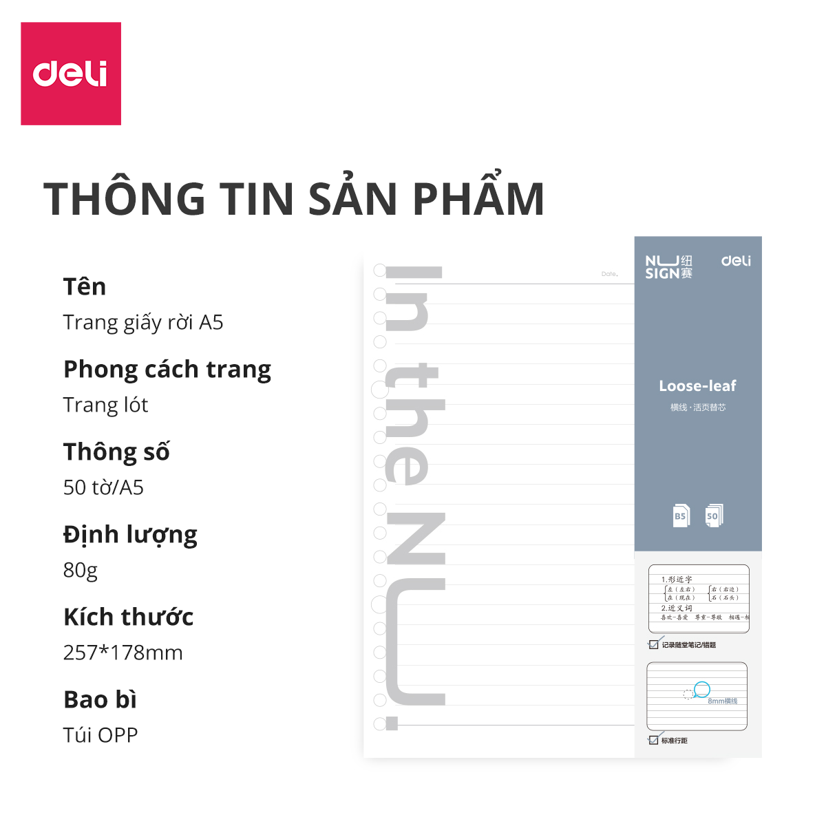 Sổ Còng Nhựa Sổ Tay A5 B5 Bìa Nhựa Cứng 80gsm 120 Trang Có Thể Thay Lõi Sổ Ruột Sổ Nhiều Size Deli - Phù Hợp Làm Sổ Kế Hoạch Planner, Nhật Kí, Tập Vở Ghi Chép Bullet Journal - GHA560 GHB560