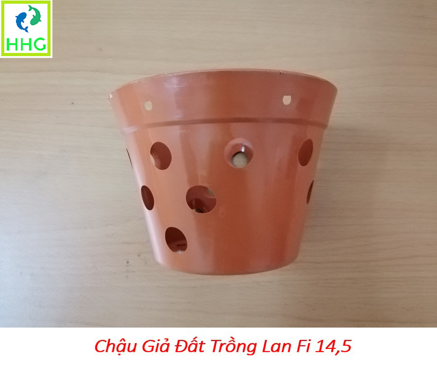 10 chậu giả đất trồng lan Fi 14.5 - đường kính 14.5cm
