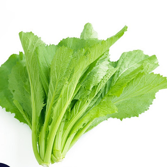 Hạt giống Cải Bẹ Xanh Mỡ Cao Sản - Nông Sản Vàng
