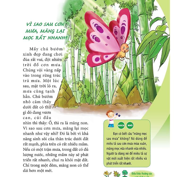 Sách 10 Vạn Câu Hỏi Vì Sao - Đôi Mắt, Mồ Hôi Và Giấc Mơ B38