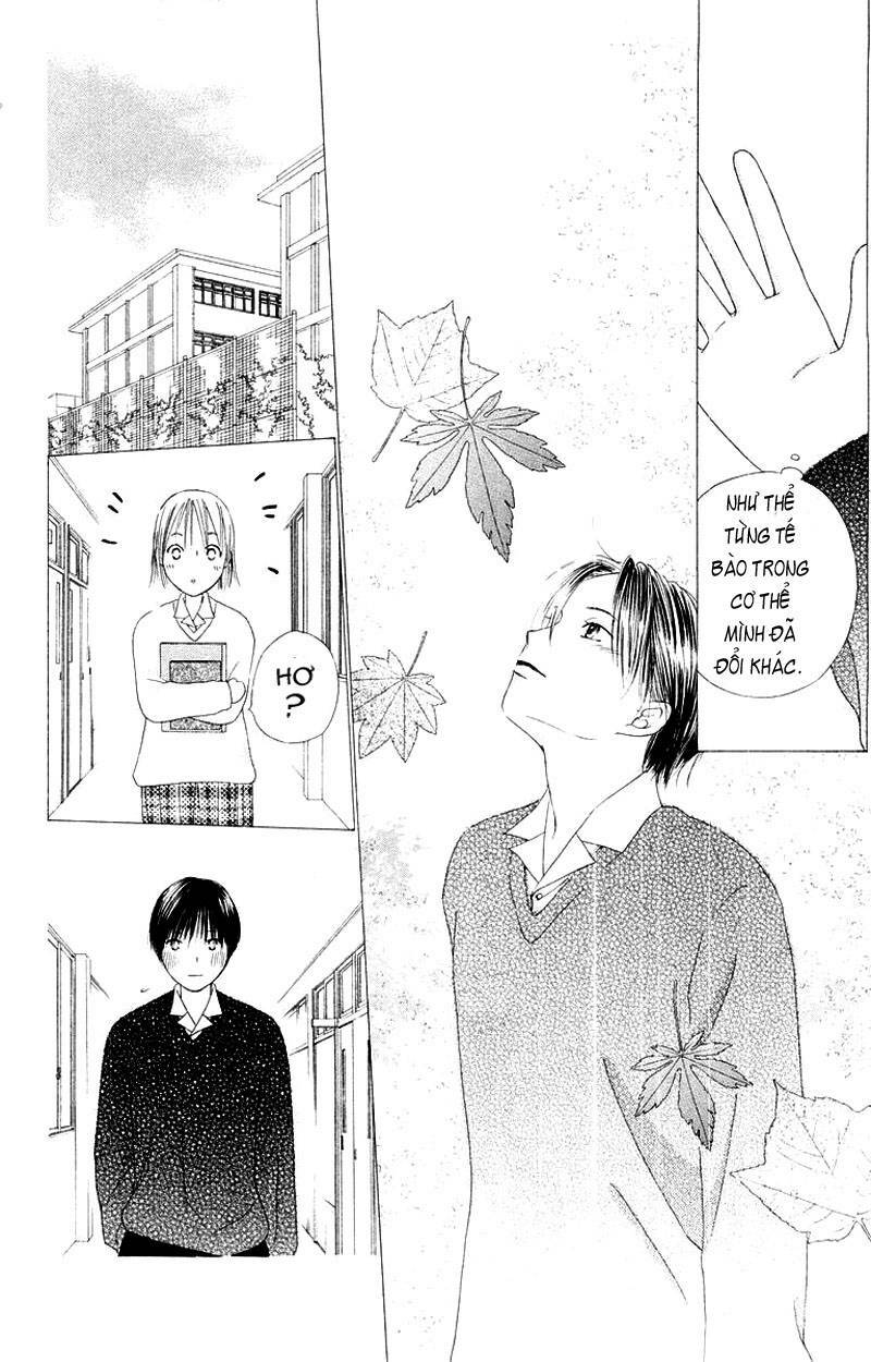 kare kano hajimemashita chapter 75 33