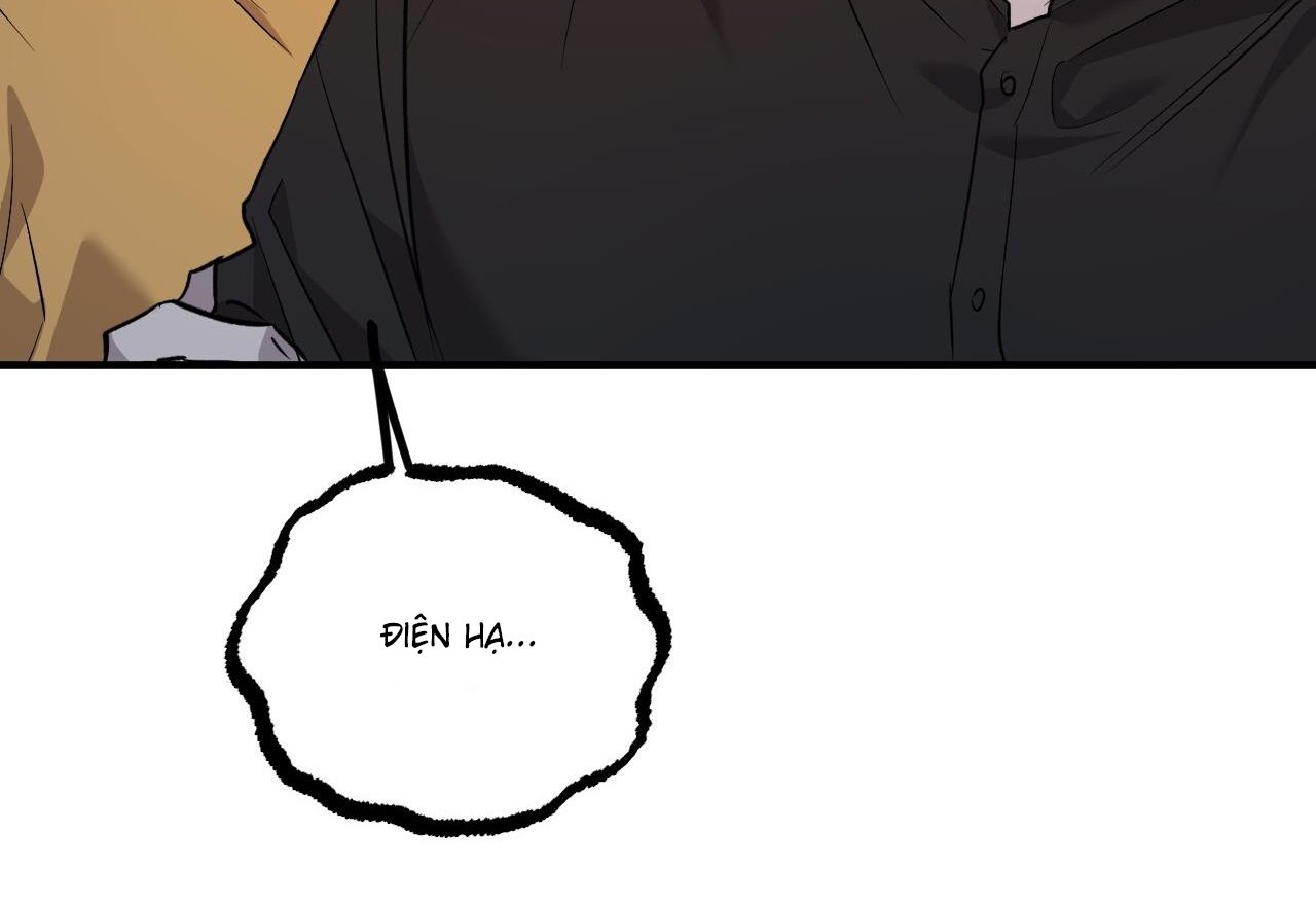 những chú thỏ của hapypy chapter 59 138