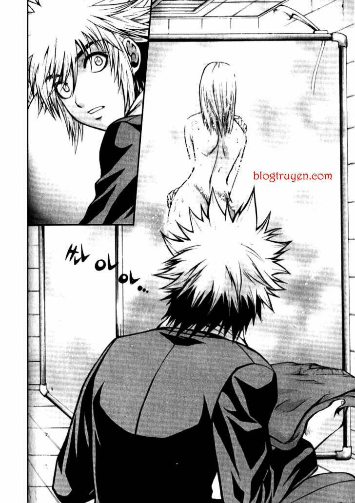 zippy ziggy chapter 6 19