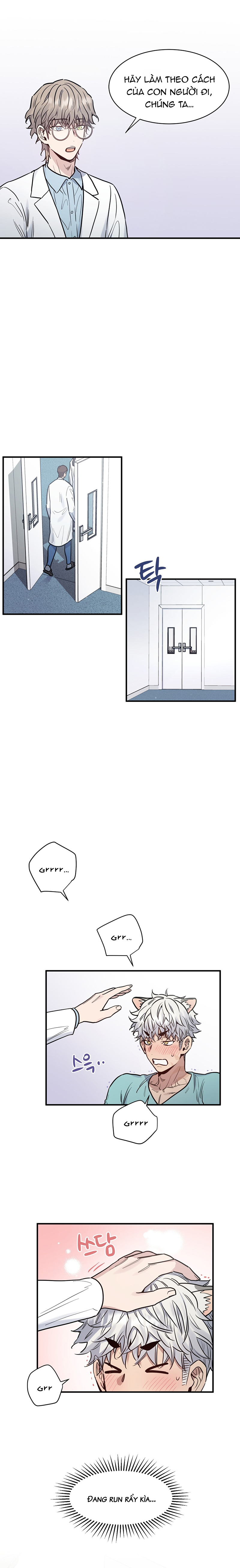 anh à! em đã lớn rồi! chapter 2 6