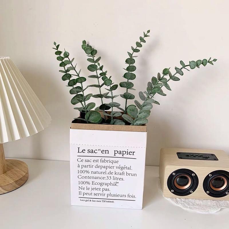 Cành cây khô/đồ trang trí phong cách Bắc Âu