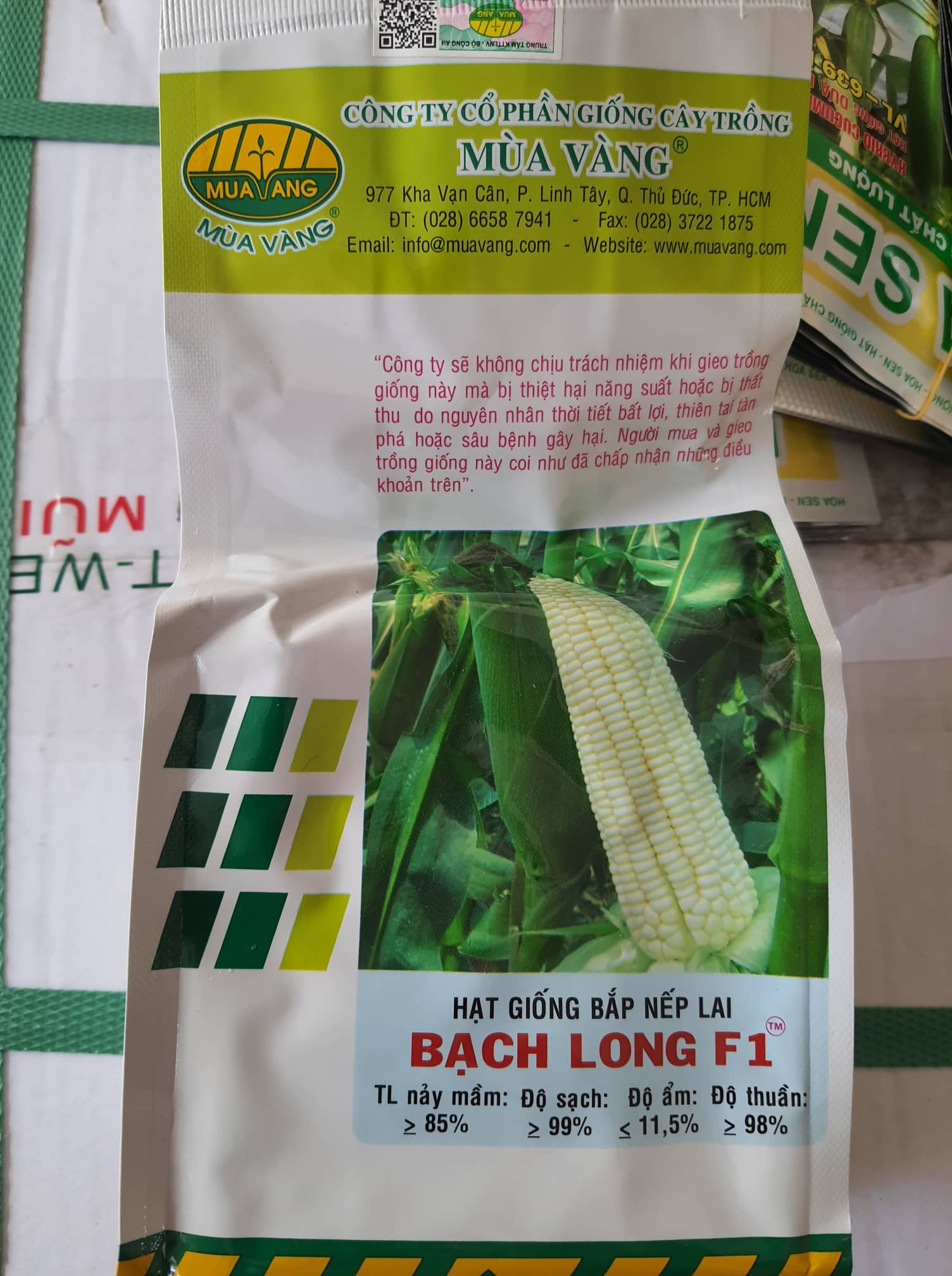 Hạt Giống Bắp Nếp lai F1 Mùa Vàng Bạch Long