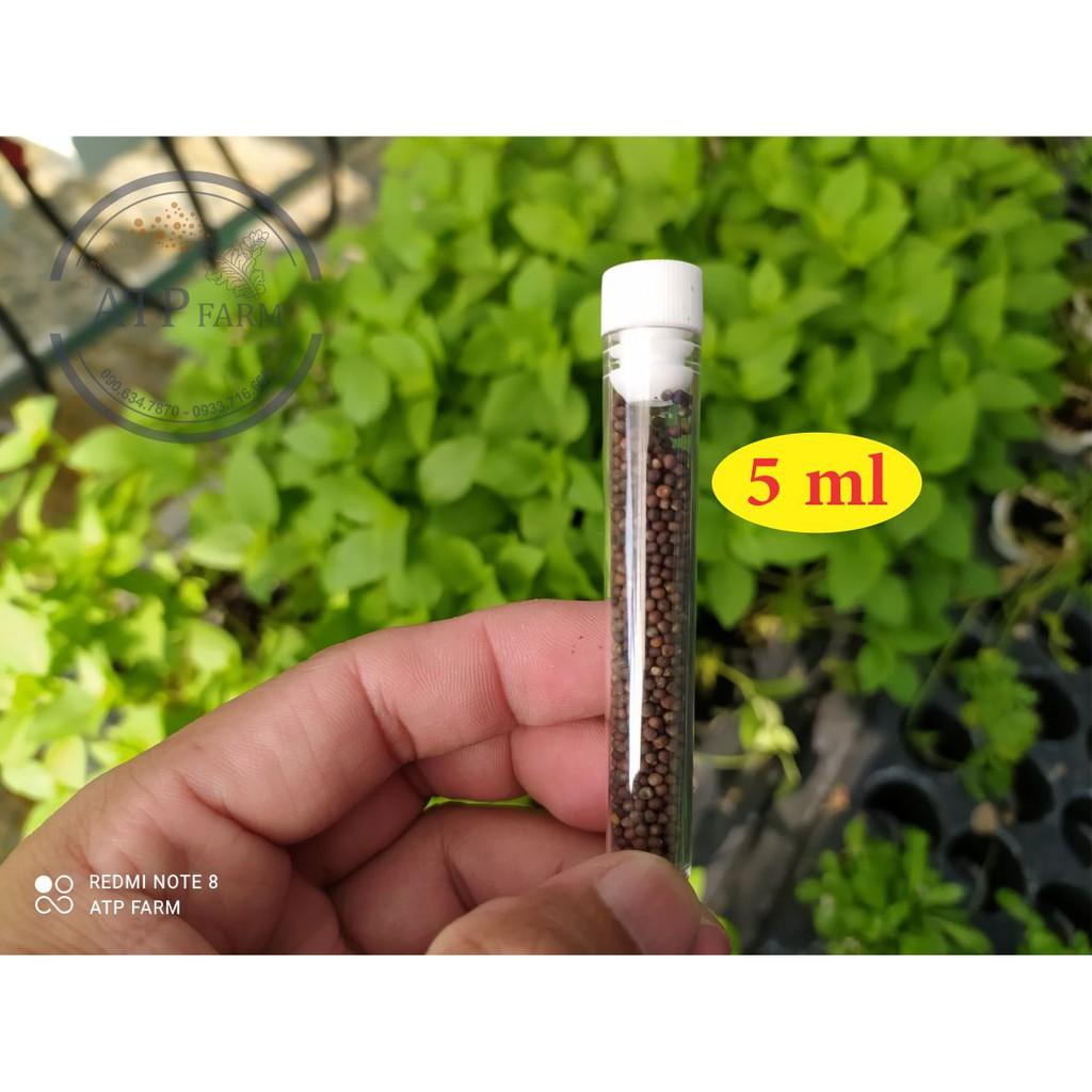 Hạt giống cải Arugula Rocket BABY LEAF - Nhật Bản