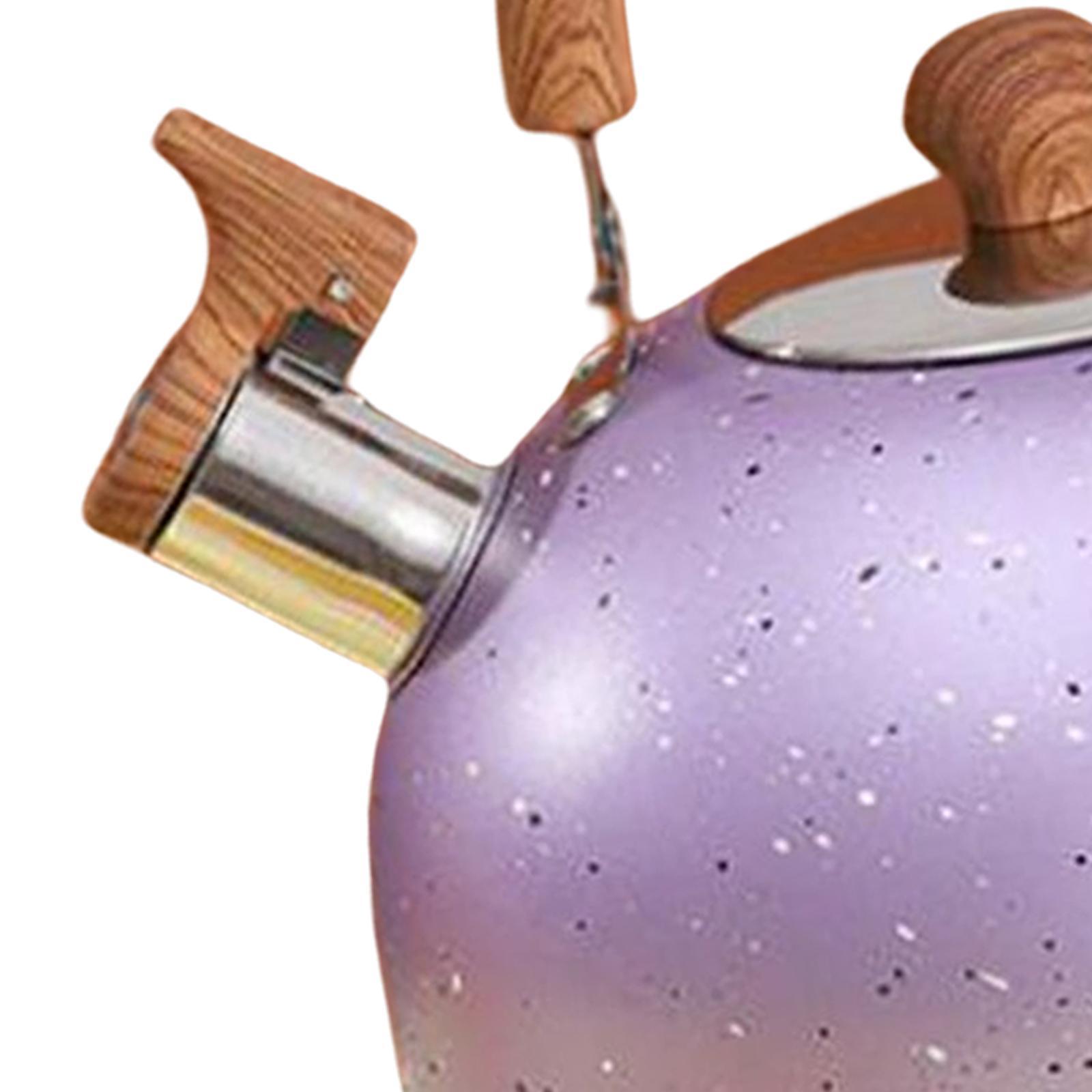 Kettle for Top, Water Kettle Teapot for Water Milk Camping