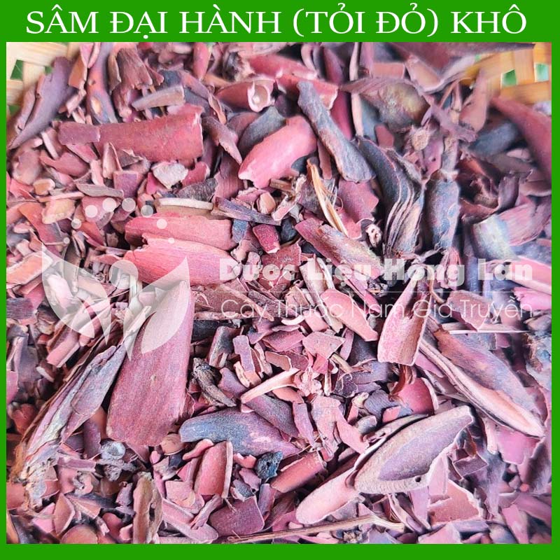 SÂM ĐẠI HÀNH (Tỏi Đỏ) khô sạch đóng gói 1kg - congtyduoclieuhonglan