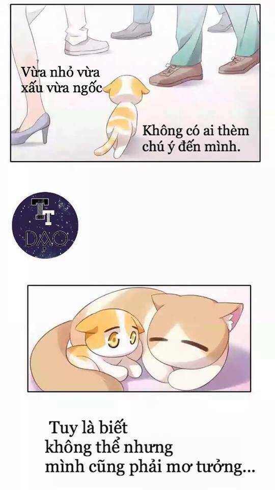dưới móng vuốt mèo chapter 11 7