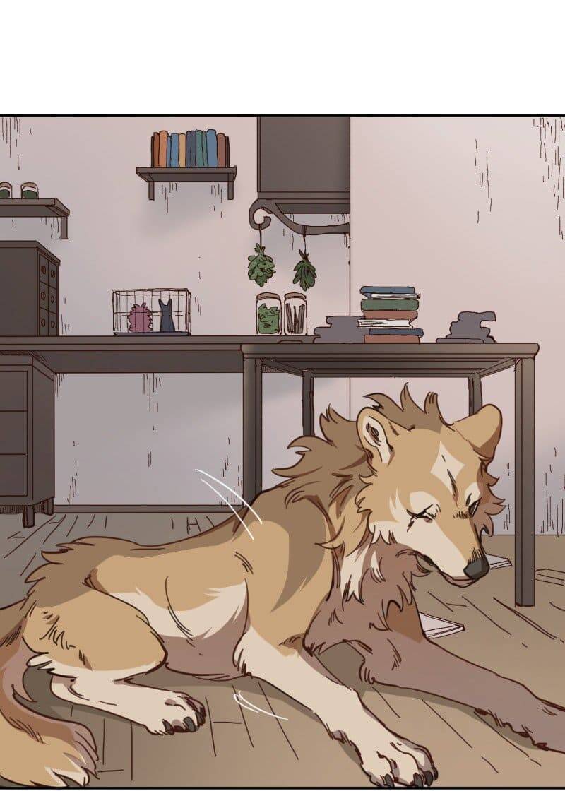 lumine - cội nguồn ánh sáng chapter 80 19