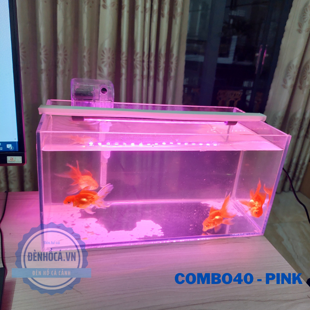 Bể cá mini 40cm COMBO C30 PINK