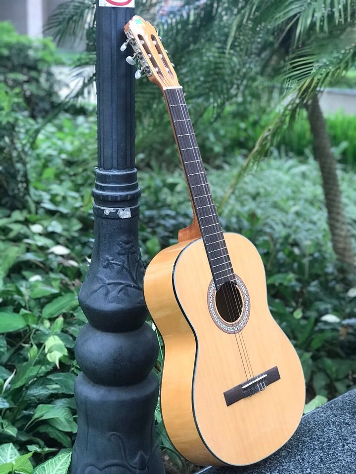 Đàn guitar classic Rex HGW195 dễ chơi- Hàng nhập khẩu