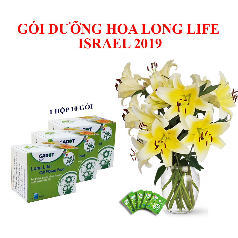 GÓI DƯỠNG HOA TƯƠI LONGLIFE CỦA ISRAEL , GIỮ HOA TƯƠI LÂU GẤP 2 LẦN VÀ 14 NGÀY KHÔNG THAY NƯỚC MỚI
