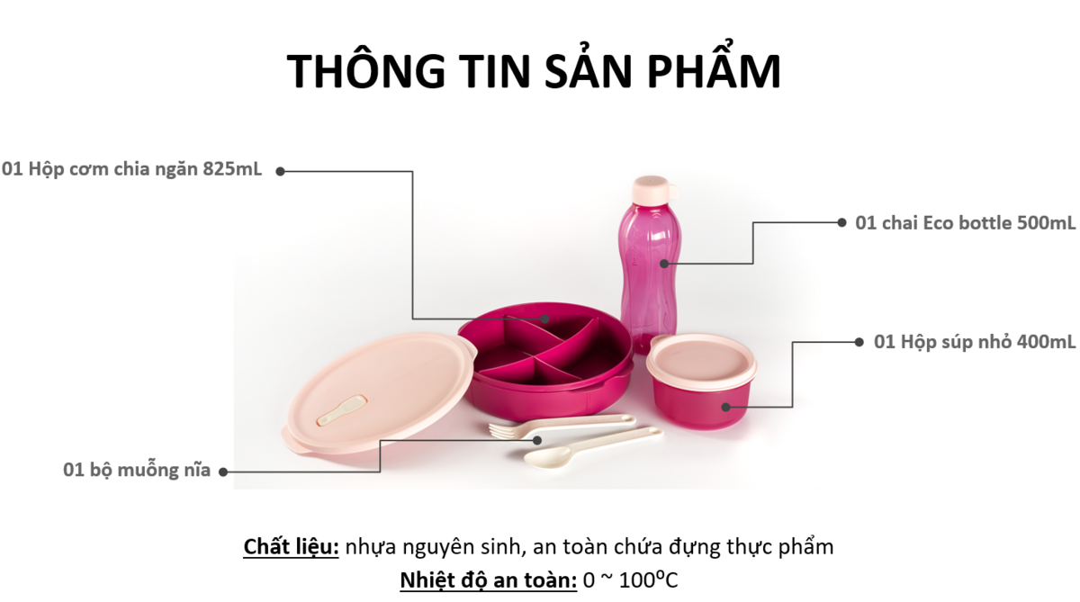 Bộ hộp cơm FIT TO GO - TUPPERWARE CHÍNH HÃNG