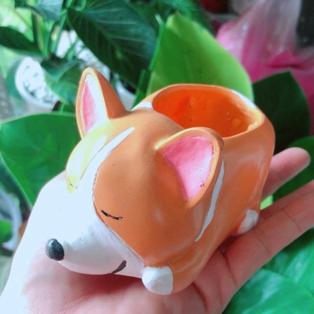 Chậu Trồng Cây