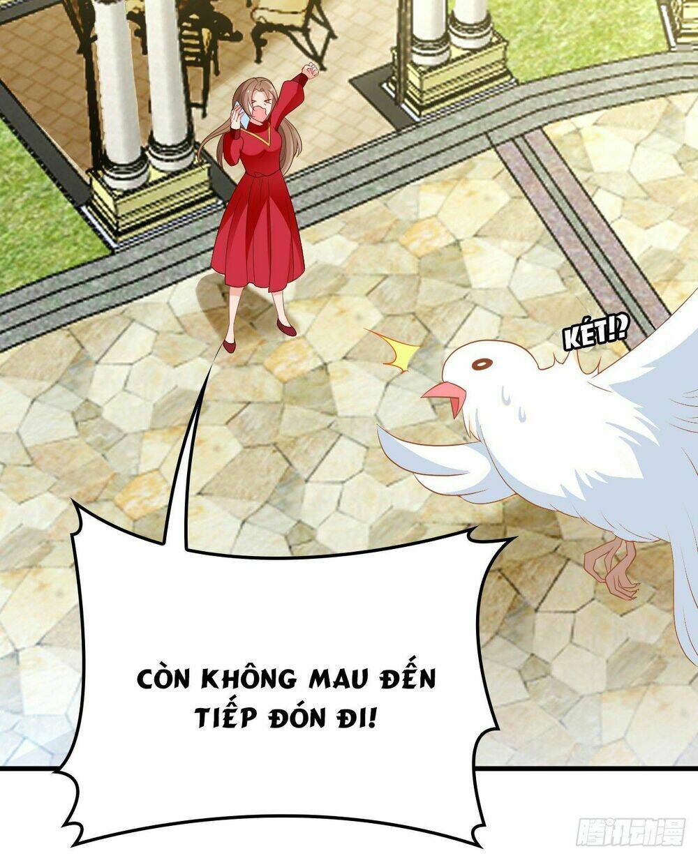 bí mật kết hôn với ảnh đế: vợ ơi đến đây tấn công đi nào chapter 25 58