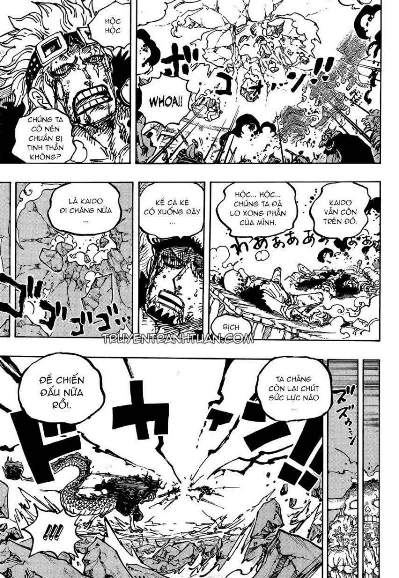 đảo hải tặc - one piece chapter 1041 13