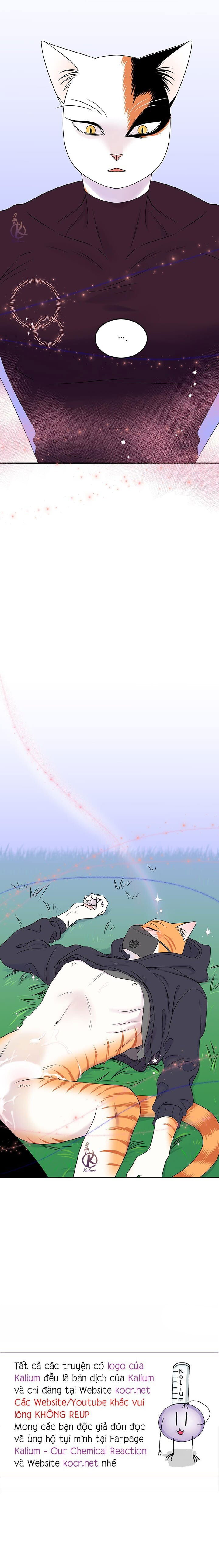 dự án xanh chapter 34 19