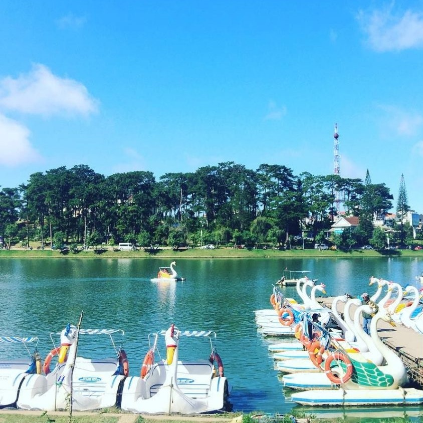 Tour Đà Lạt 3N3Đ: Vườn Hoa Cẩm Tú Cầu - Trại Cún Puppy - Đường Hầm Đất Sét - Que Garden, Khởi Hành Tối Thứ 5 Hàng Tuần