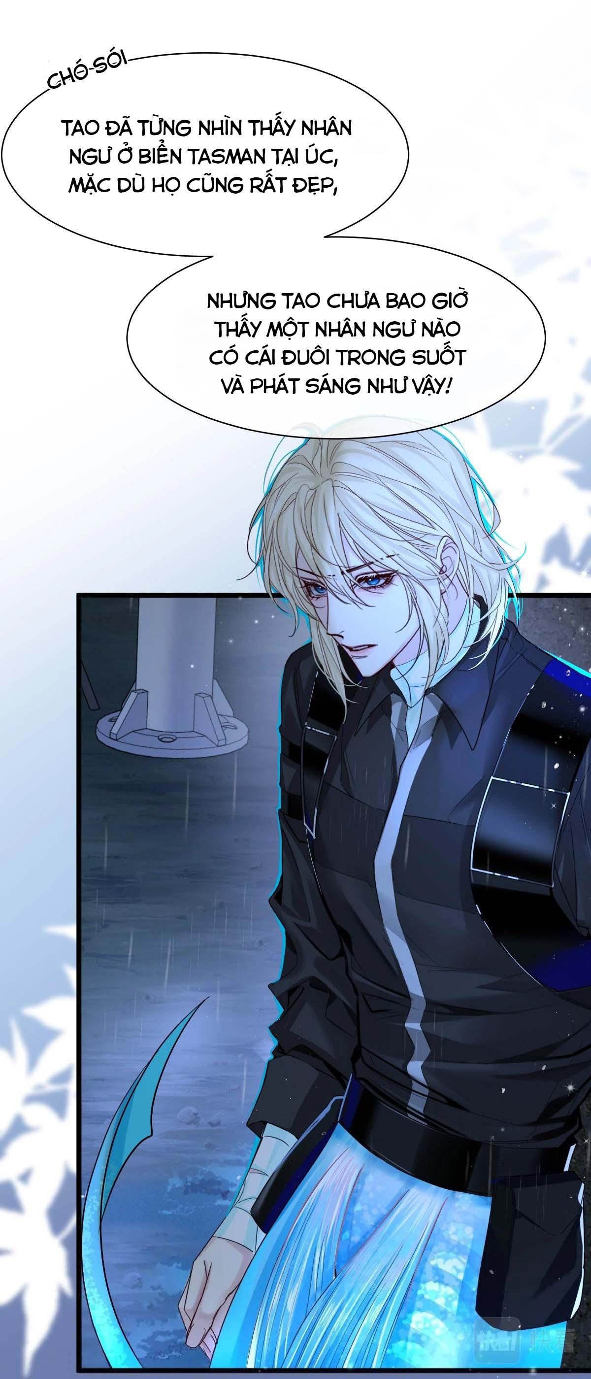 nhân ngư sa ngã chapter 29 11