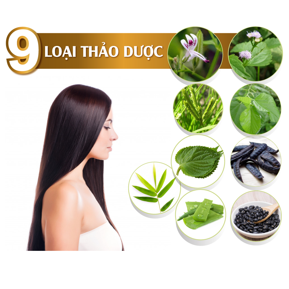 Dầu gội thảo dược Blacksilk - Kích mọc tóc, tái tạo nang tóc đen, giảm gãy rụng và nuôi dưỡng tóc từ gốc. Tích hợp cùng dầu xả trong một chai. Chai 300ml