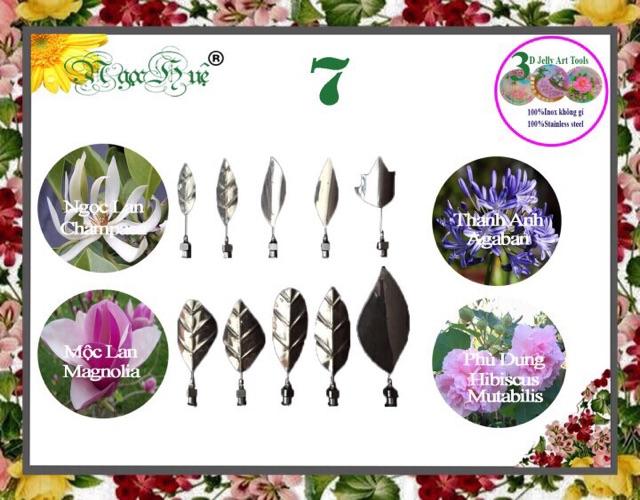 COMBO 2 BỘ Dụng cụ kim làm rau câu 3D 10 kim Ngọc Huệ