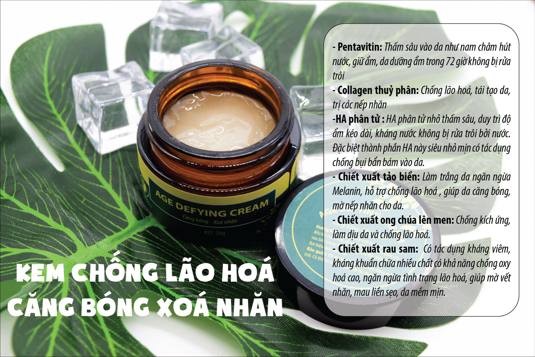 Kem Chống Lão Hoá, Trắng Da Wonmom 30g