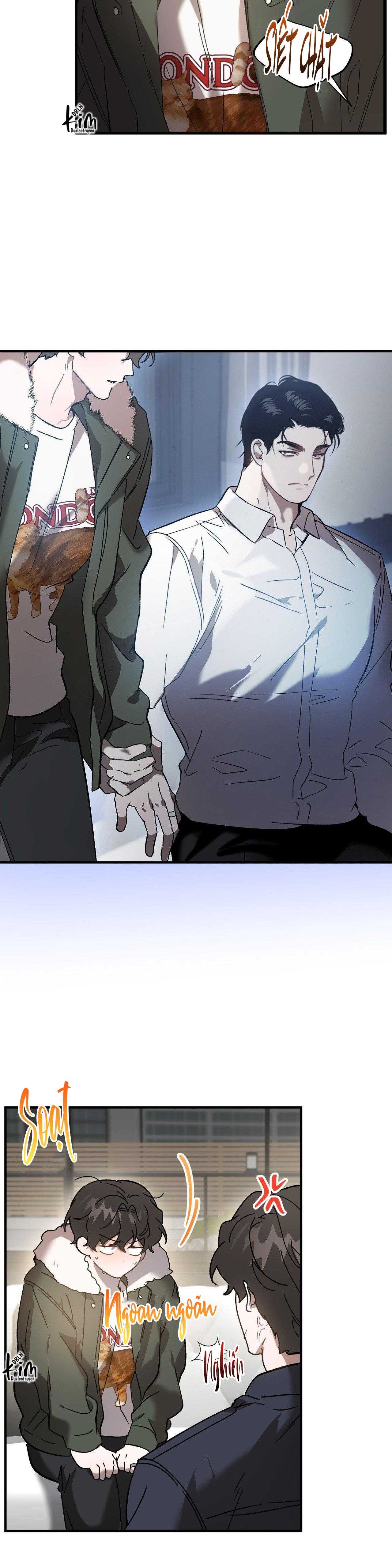 đã hiểu chưa chapter 61 12