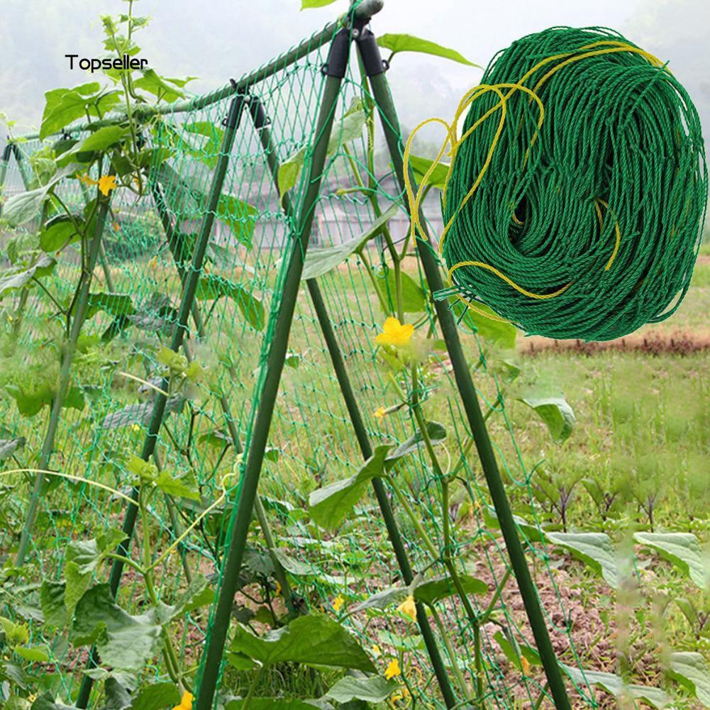 Lưới leo dàn cho cây trồng 2m-6m