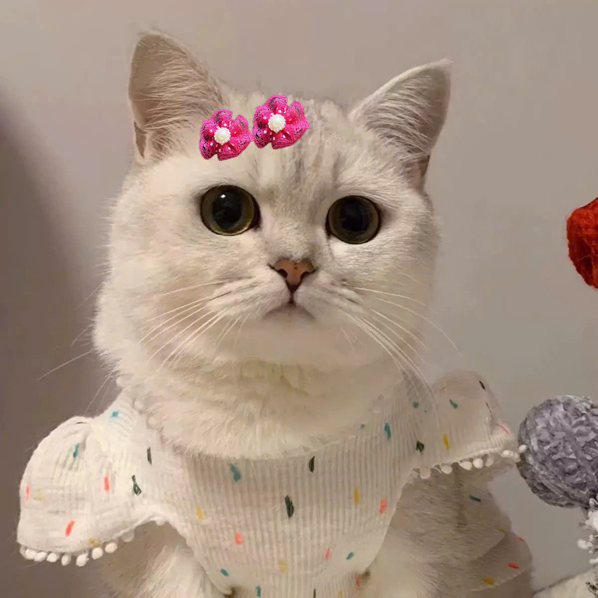 NƠ KẸP TÓC SANG TRỌNG NHIỀU MÀU DỄ THƯƠNG MÃ 17 XINH XẮN CHO THÚ CƯNG CHÓ MÈO