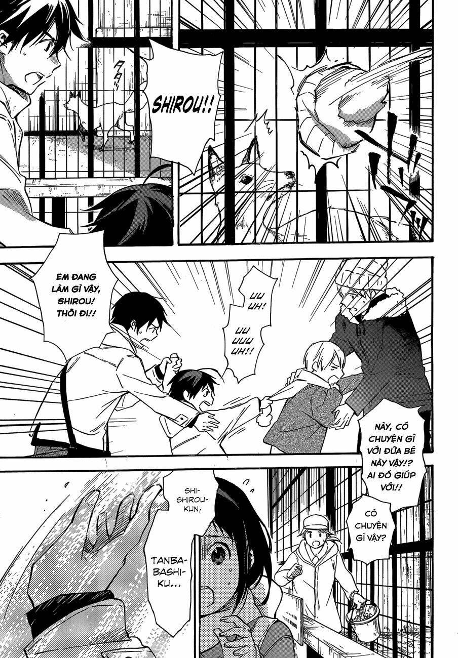 inari, konkon, koi iroha chapter 43 22