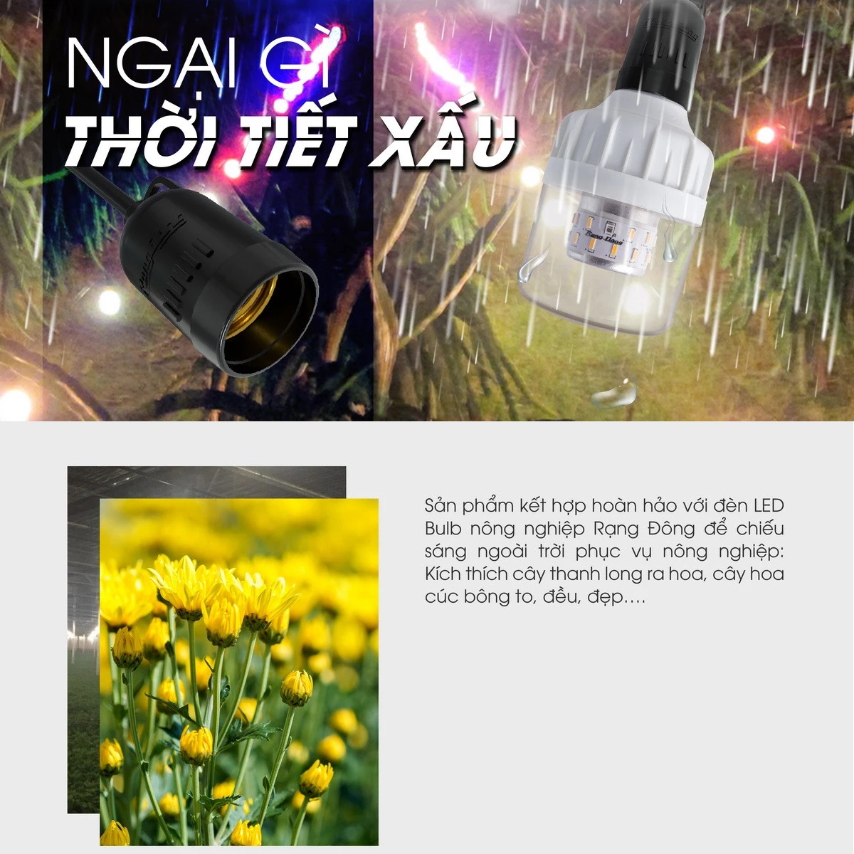 Đui đèn chống nước Rạng Đông E27 IP65 an toàn lắp đặt ngoài trời sân vườn trang trại - Hàng chính hãng