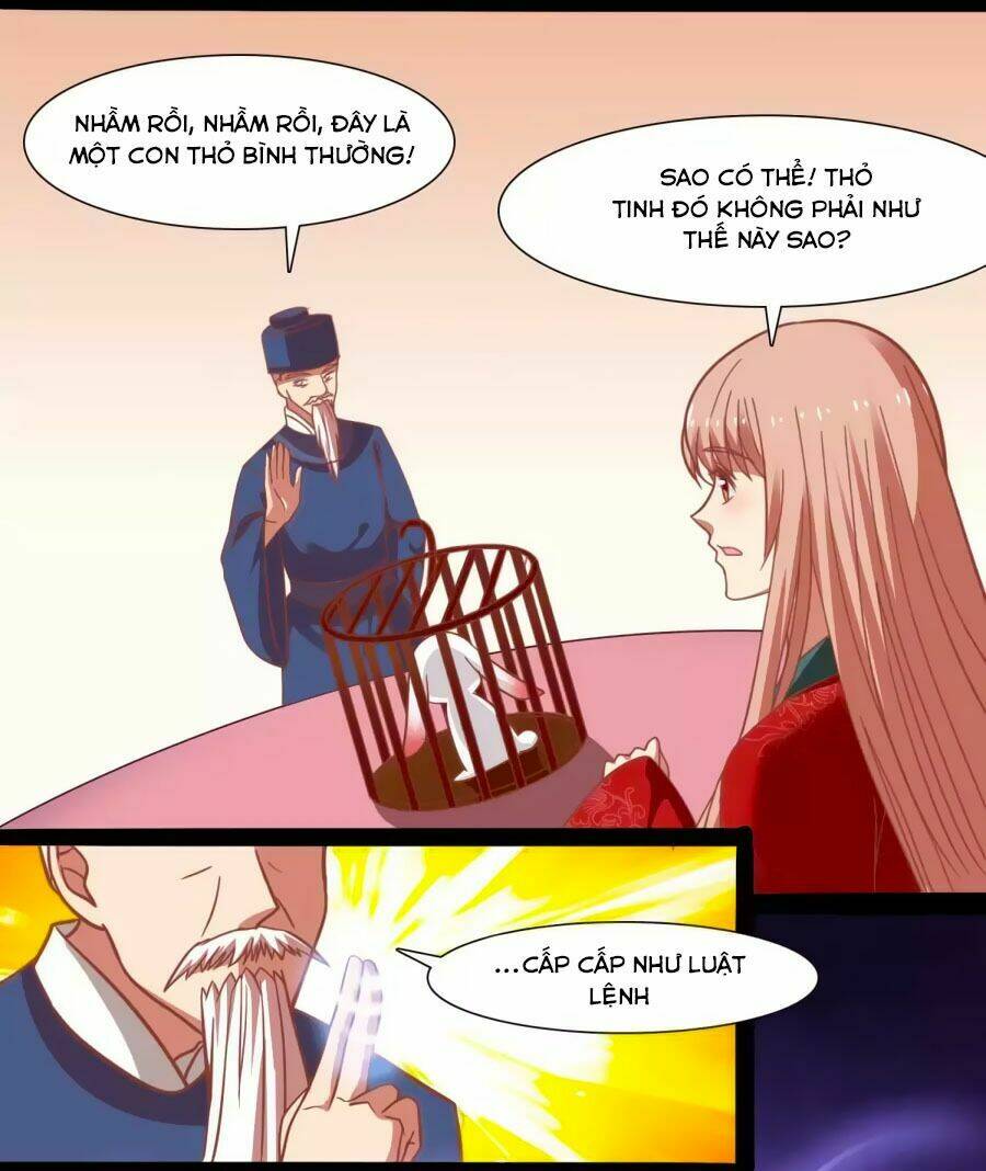 thỏ yêu tiểu vương phi chapter 41 22