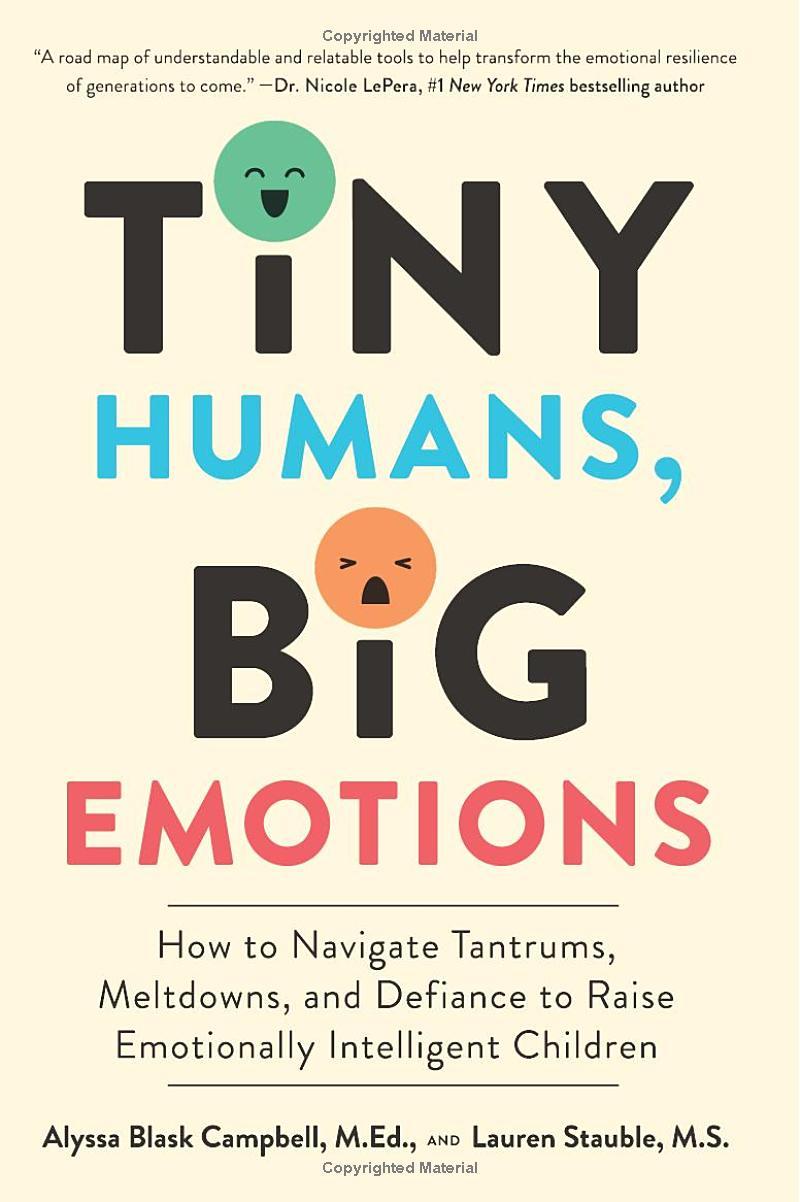 Sách ngoại văn: Tiny Humans, Big Emotions