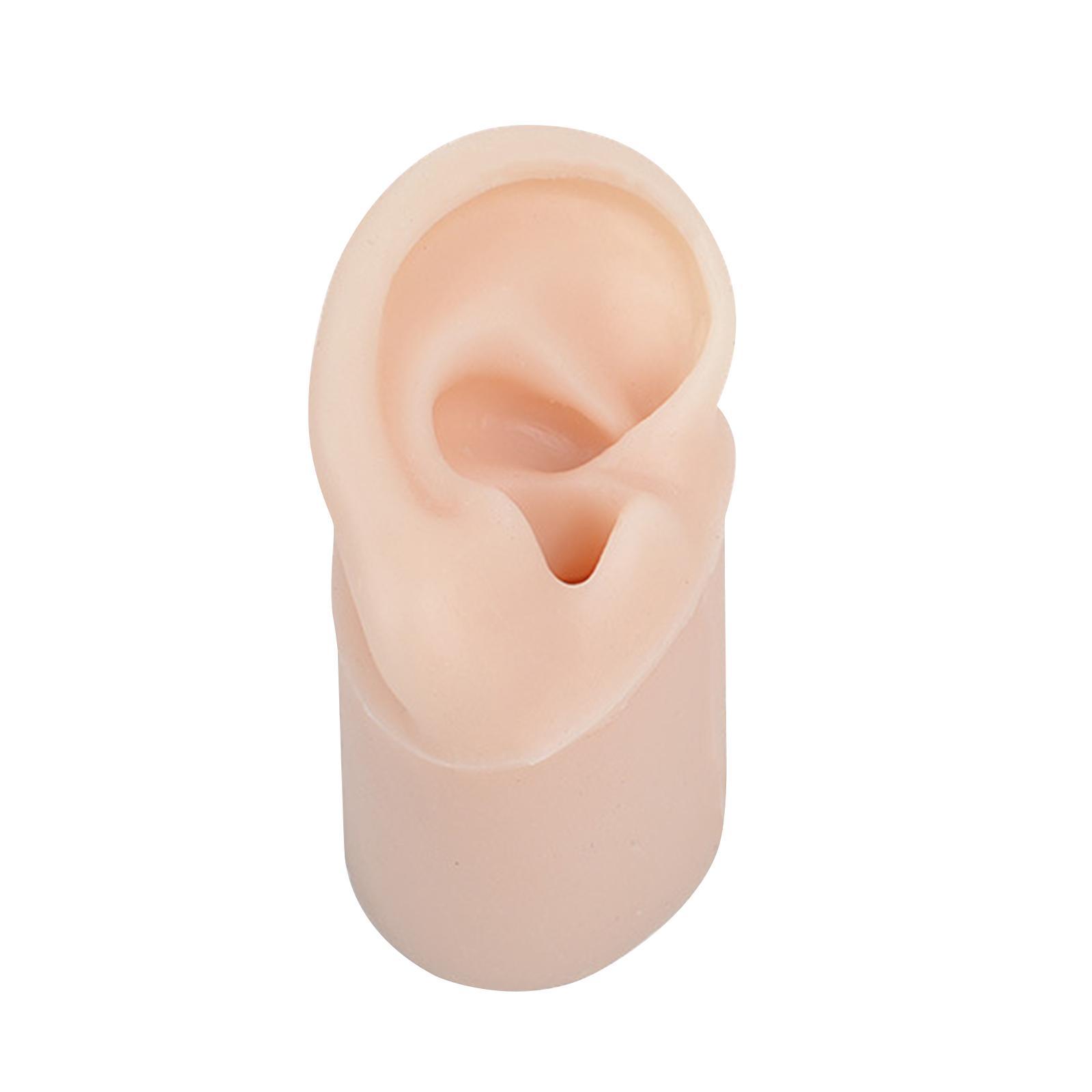 Simulated Soft Silicone Ear Model with Base Headset Display Props Left