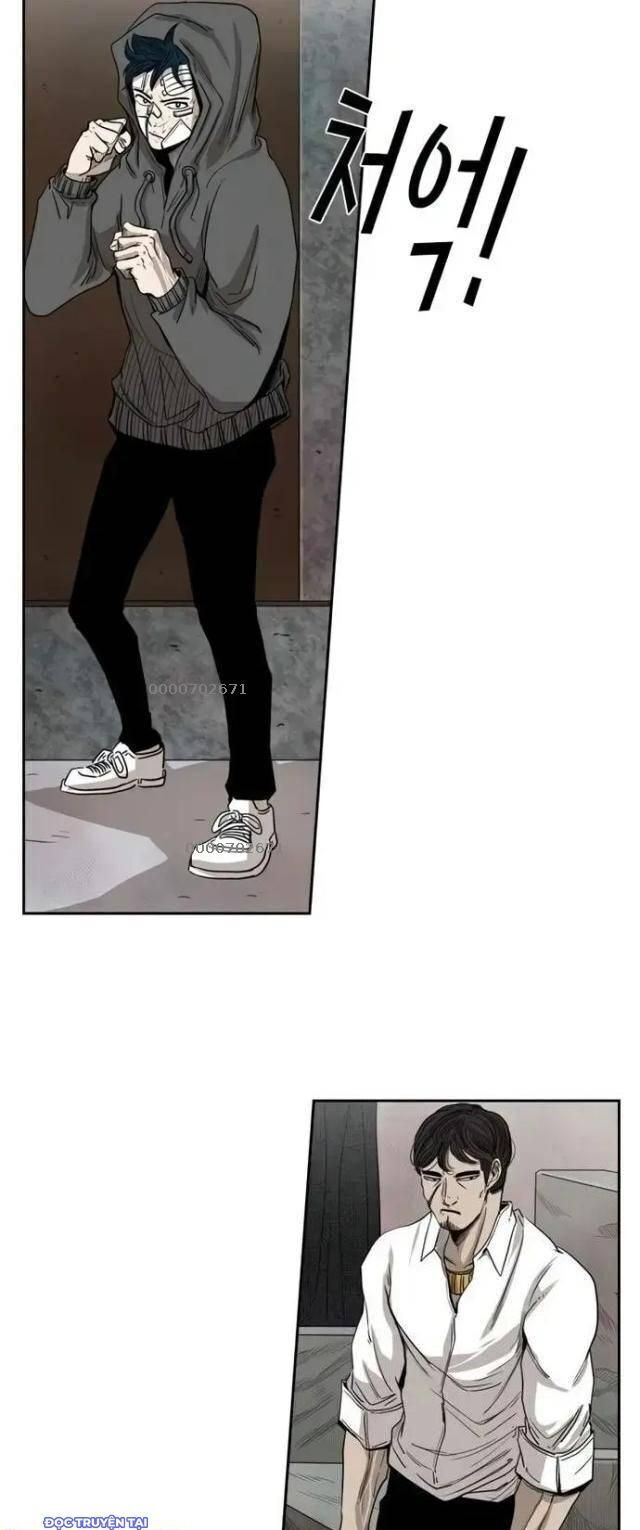 shark - cá mập chapter 91 11